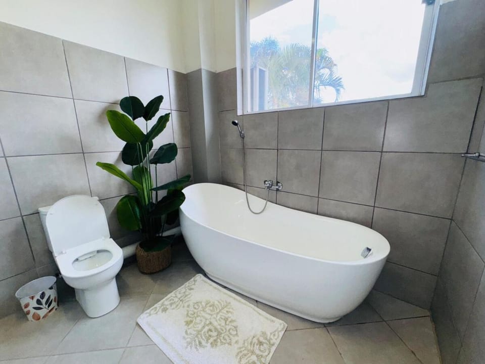 Toilet, Bathroom, Bath