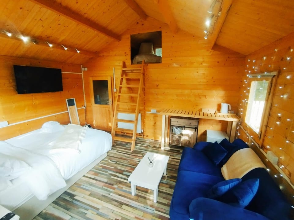 TV and multimedia, Living room, Photo of the whole room, Seating area