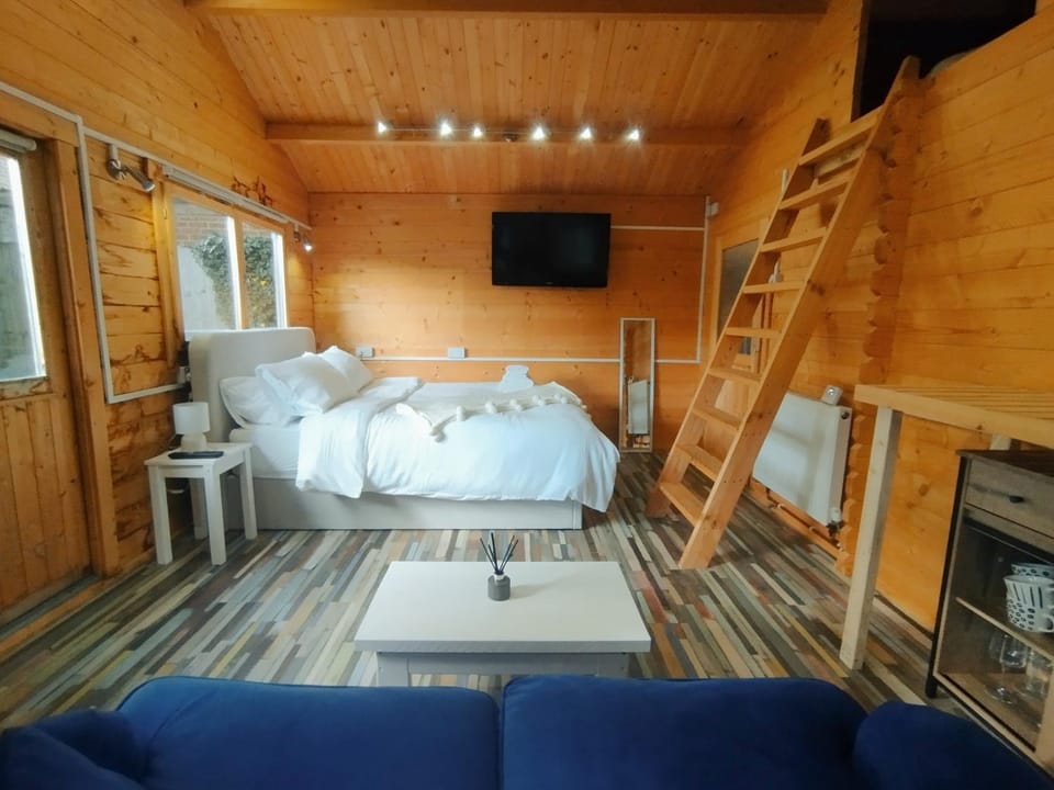 Bed, Photo of the whole room, Seating area, Bedroom
