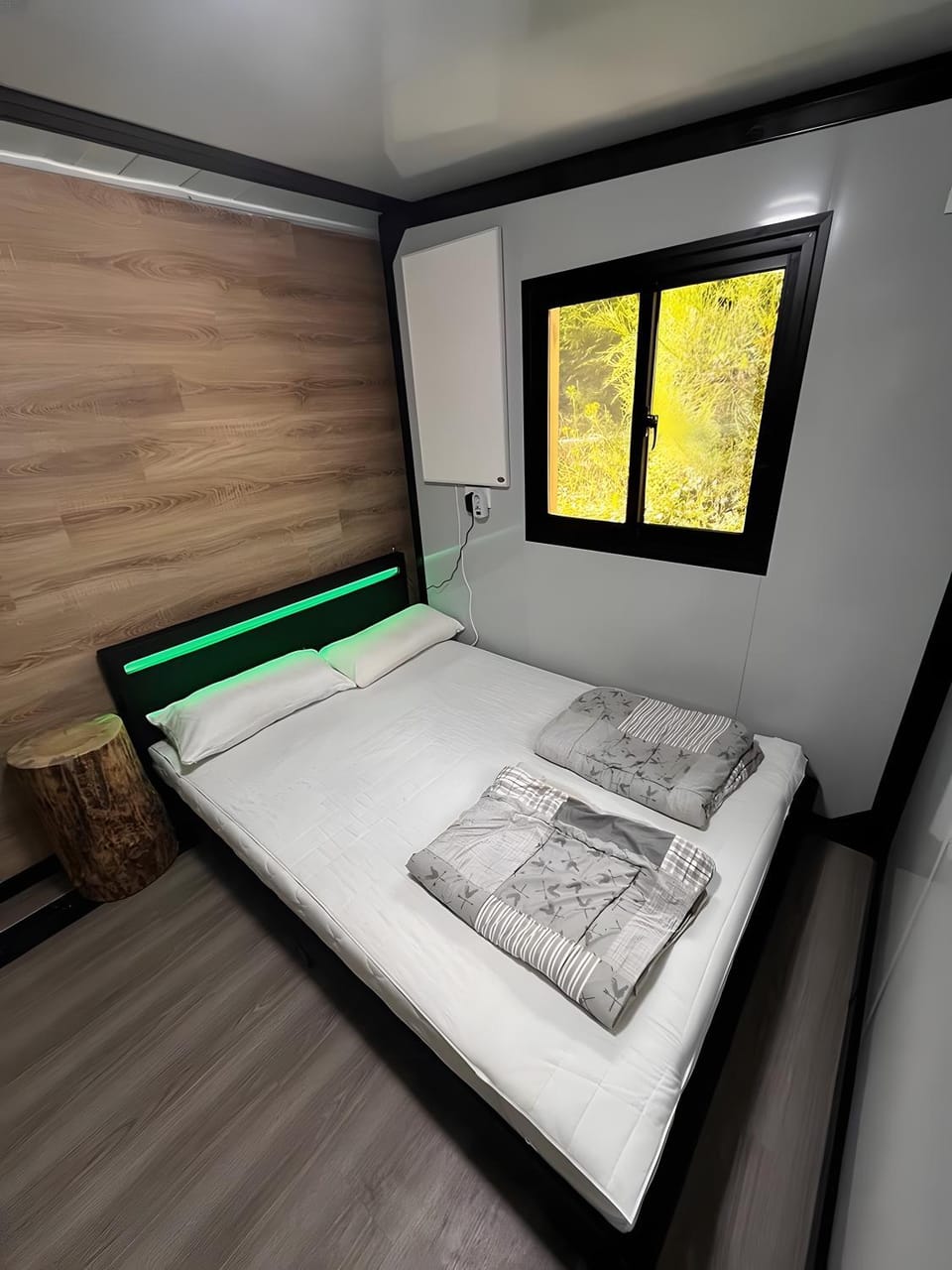Living room, Bedroom