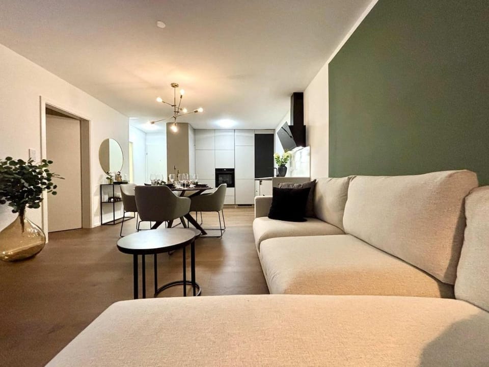 Modern and Peaceful Renovated Apartment in Riehen Apartment in Riehen