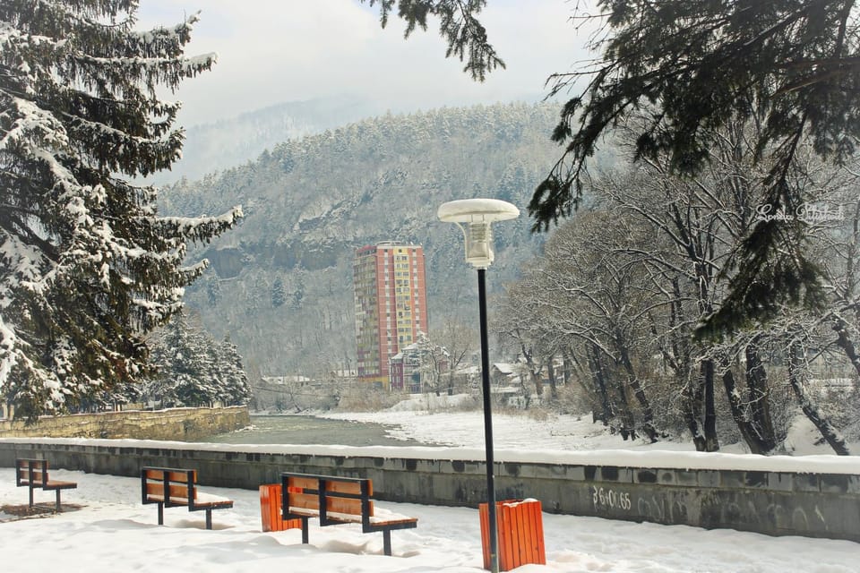 Neighbourhood