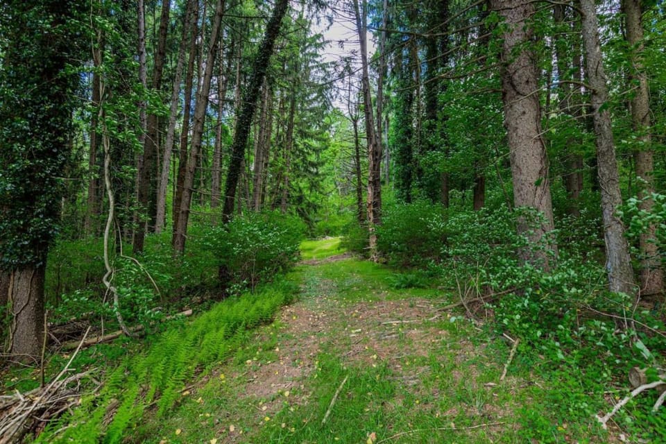 Natural landscape