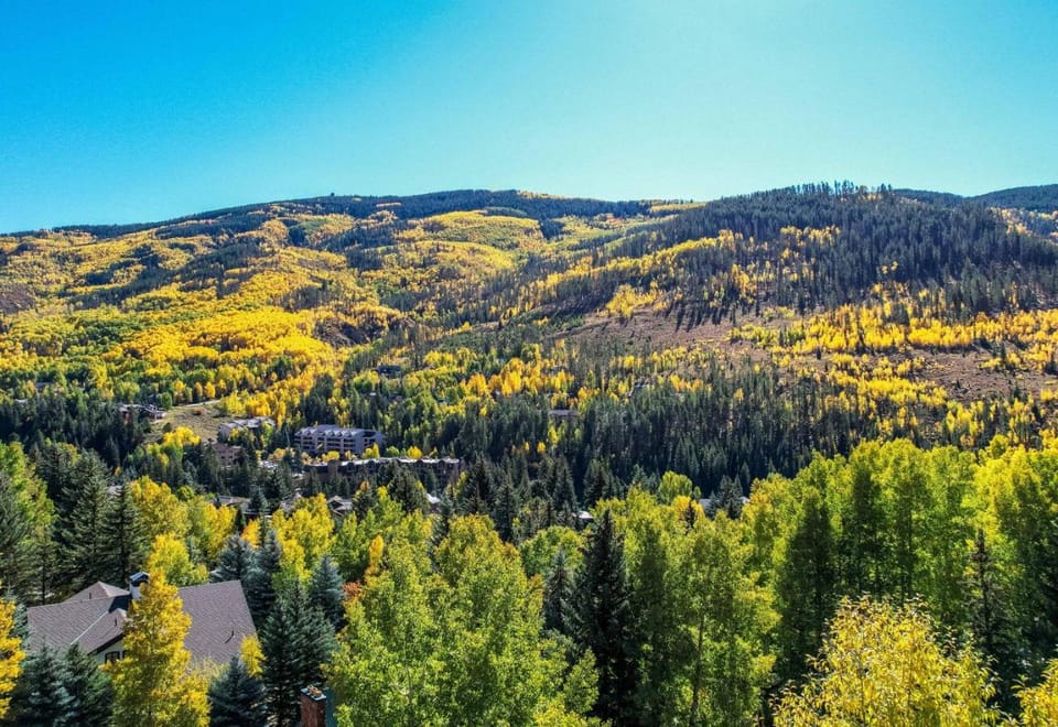 Value - Vail Hideaway - Forest Views, Deck Comfort House in Vail