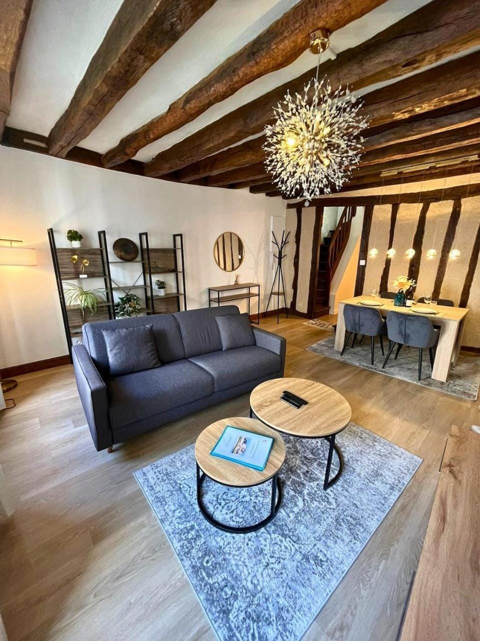 Au Charme Amboisien - Centre-ville et climatisé Apartment in Amboise