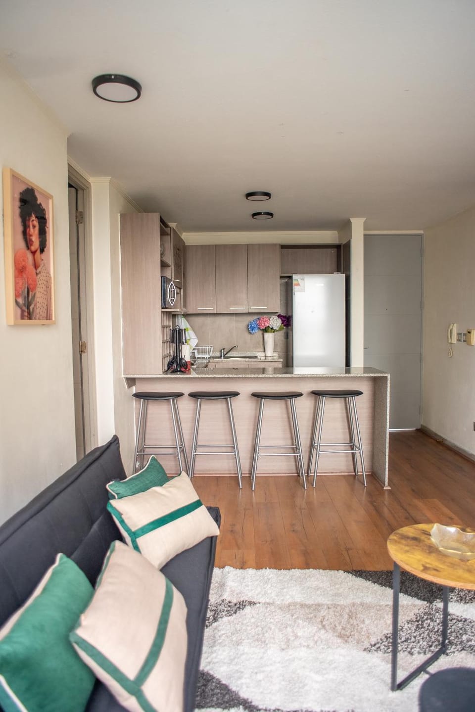 Apartartment 2 Bedrooms Suite Macul Metro Fully Equipped Apartment in Santiago