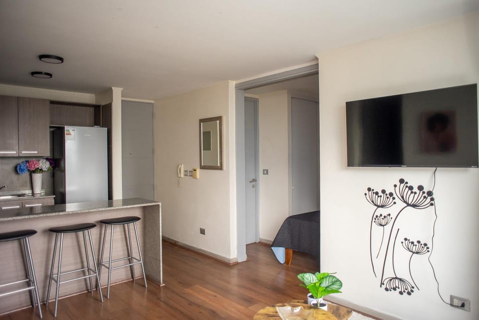Apartartment 2 Bedrooms Suite Macul Metro Fully Equipped Apartment in Santiago