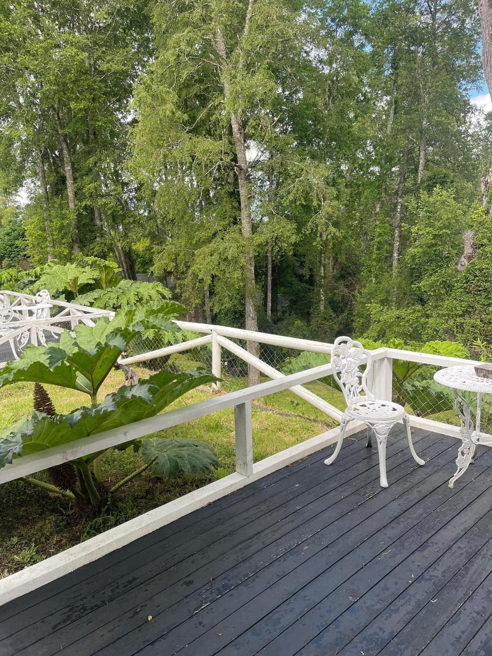 Cabañas Laguna Magica House in Valdivia