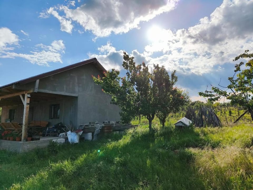 Holiday home with vineyard and city view House in Romania