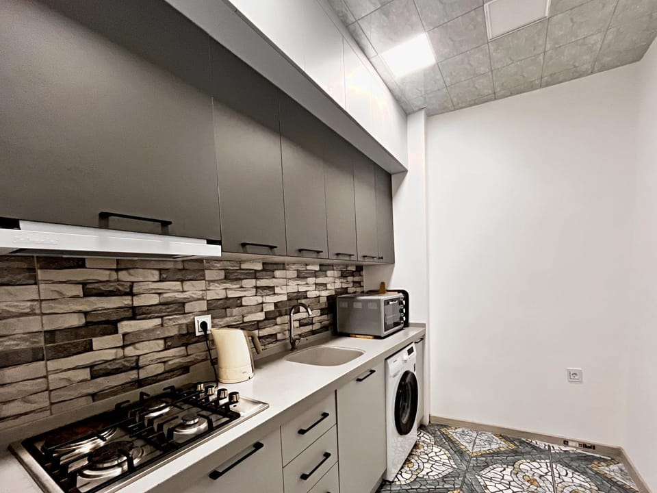 Kitchen or kitchenette, dishwasher, minibar, pet friendly, washing machine, dryer