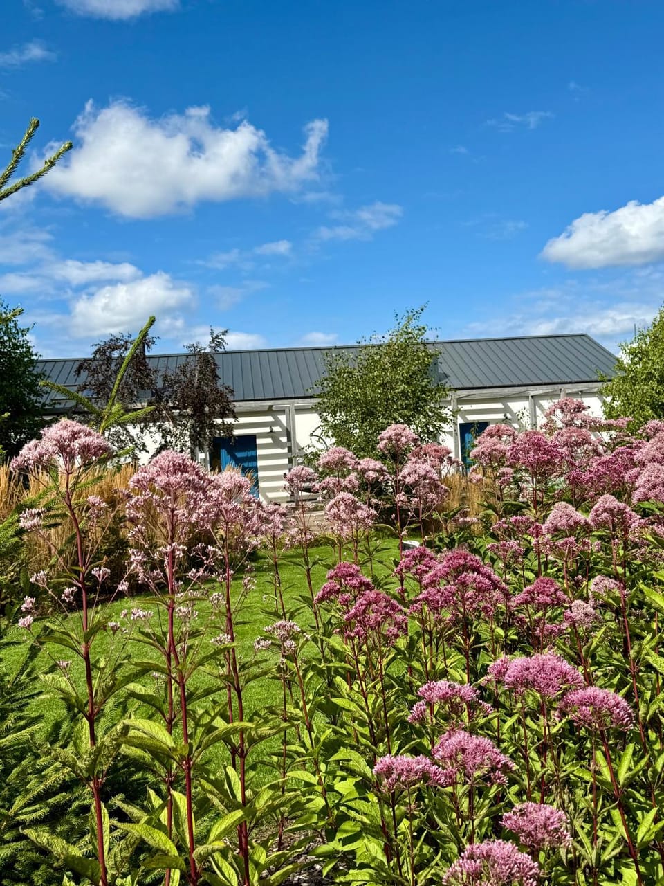 Property building, Garden view