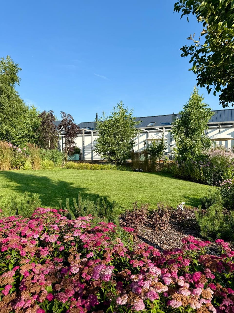 Garden view