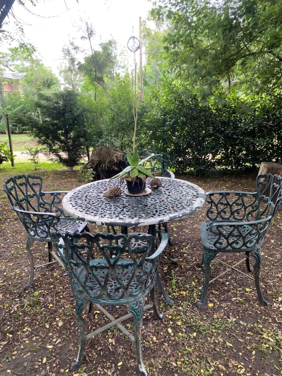Garden, Garden view