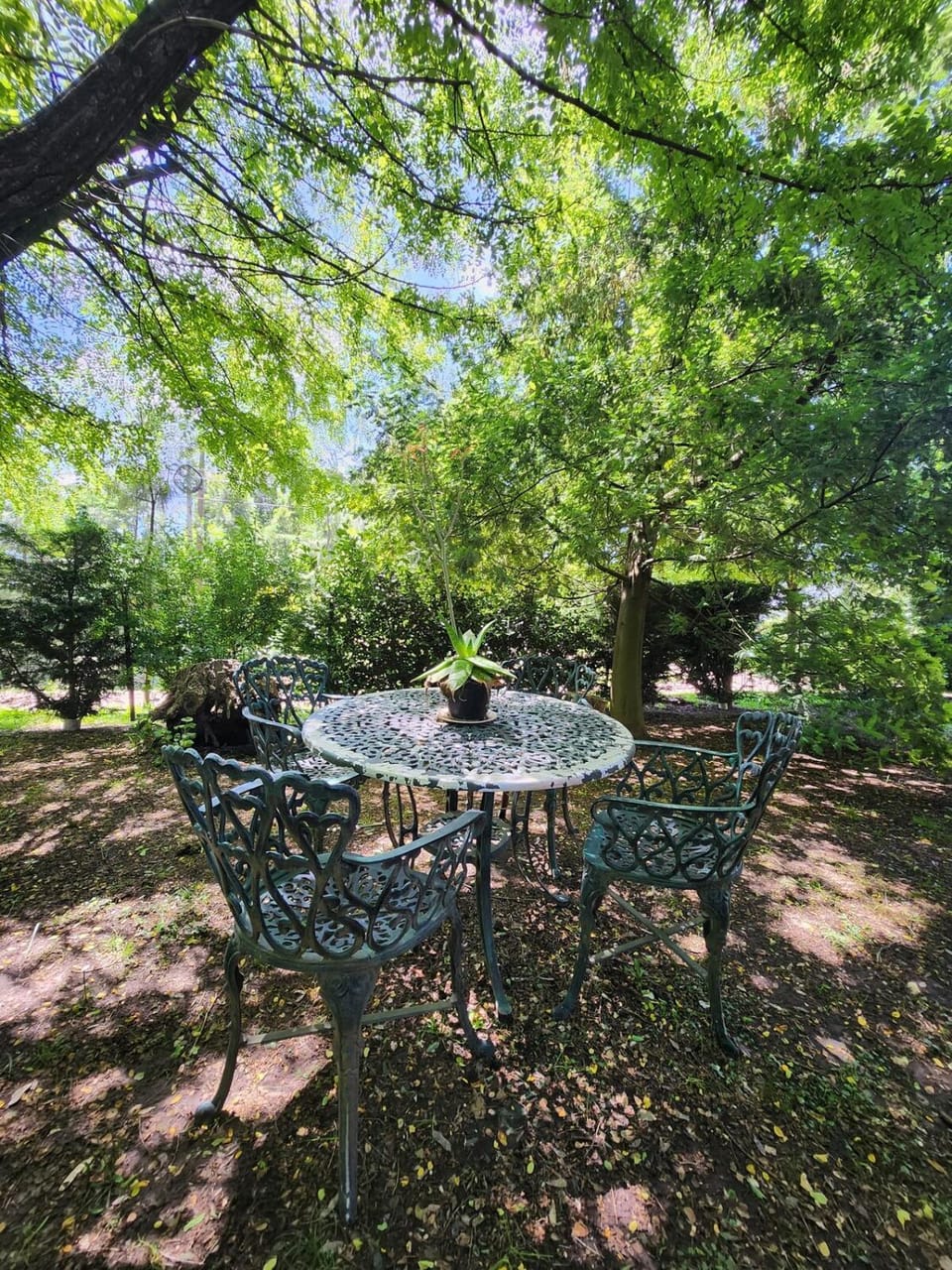 Garden, Garden, Garden view