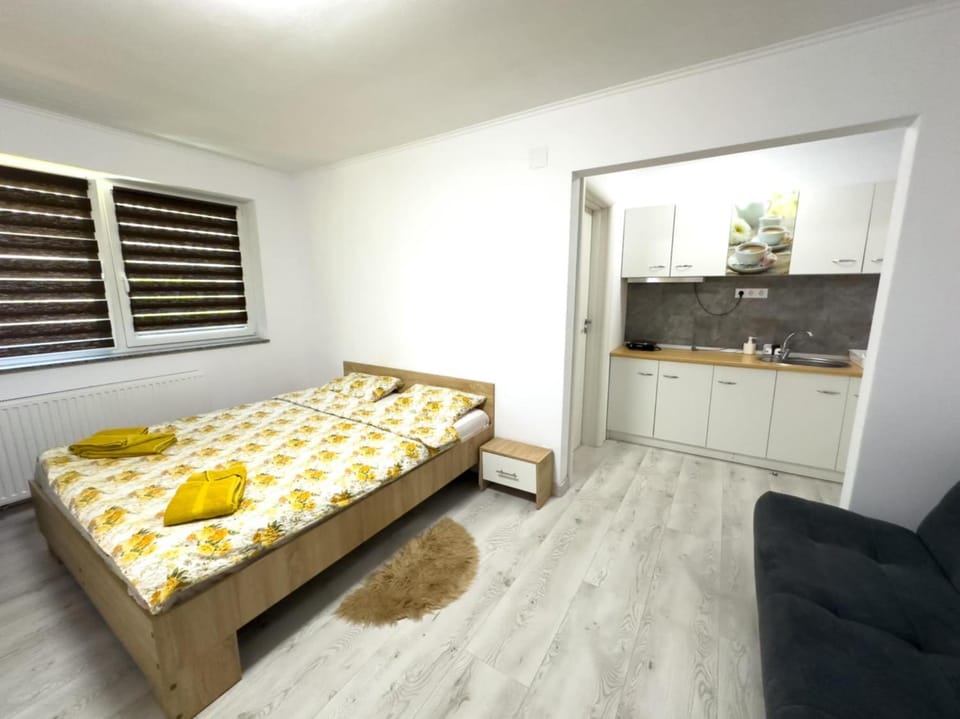 Kitchen or kitchenette, Bedroom