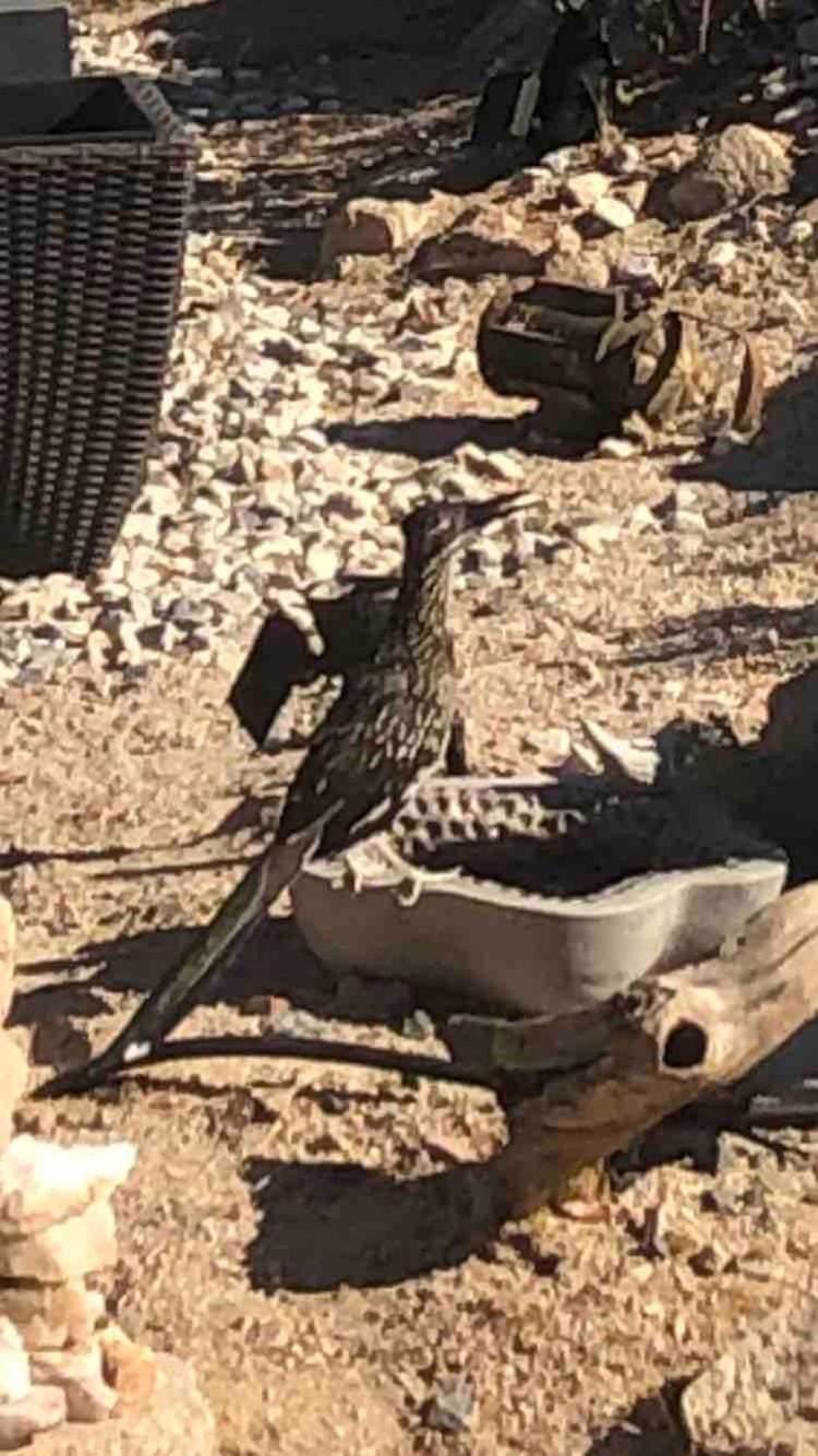 Mountainside Retreat Villa in Yucca Valley