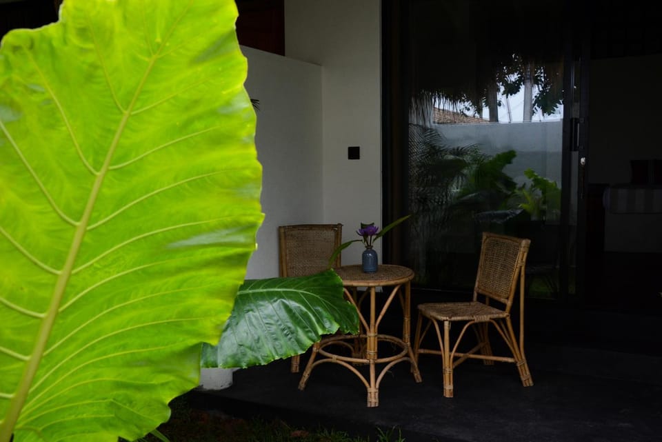 Nova Surf House Bed and Breakfast in Southern Province