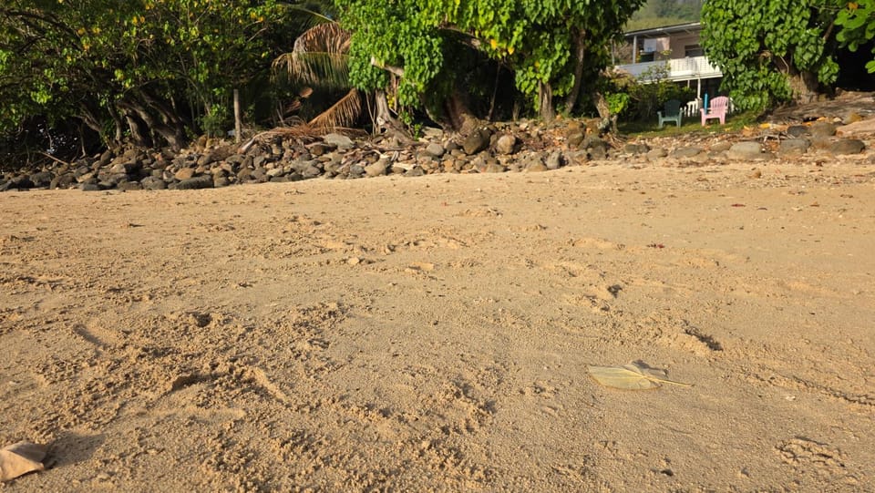 La Maison Plage et Sunset House in Moorea-Maiao