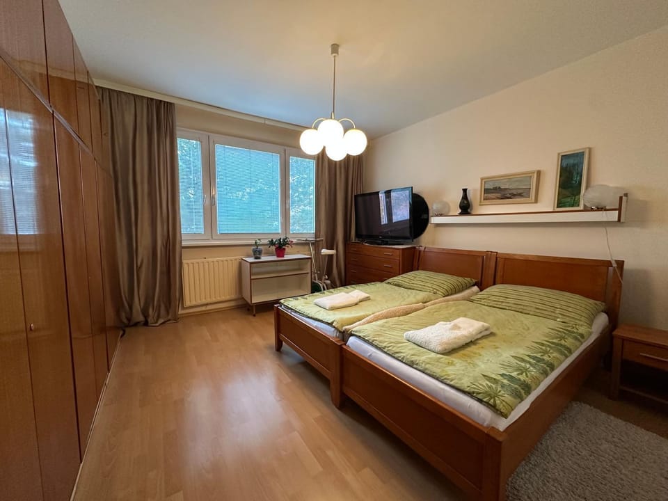 Retro apartment with three rooms Apartment in Bratislava