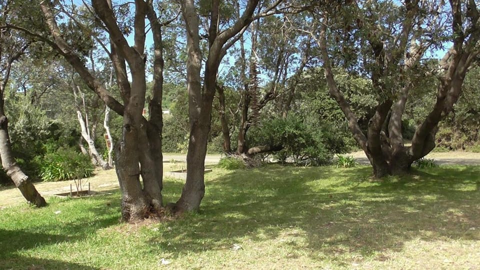 Natural landscape, Garden, Garden view