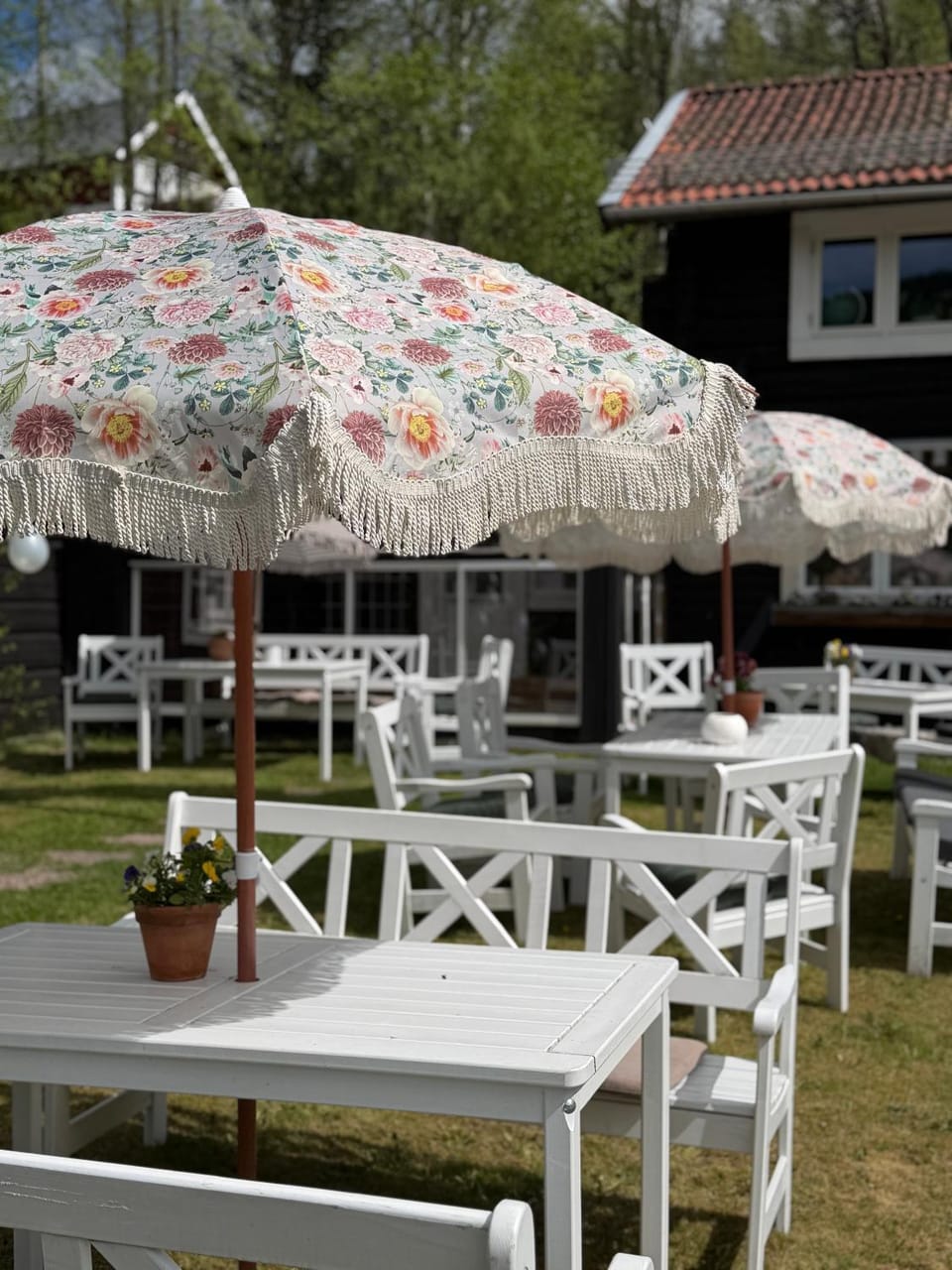 Restaurant/places to eat, Summer, Garden