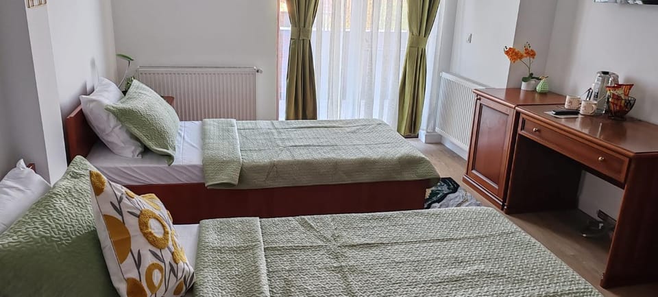 Pensiunea Terra Serenity Bed and Breakfast in Romania