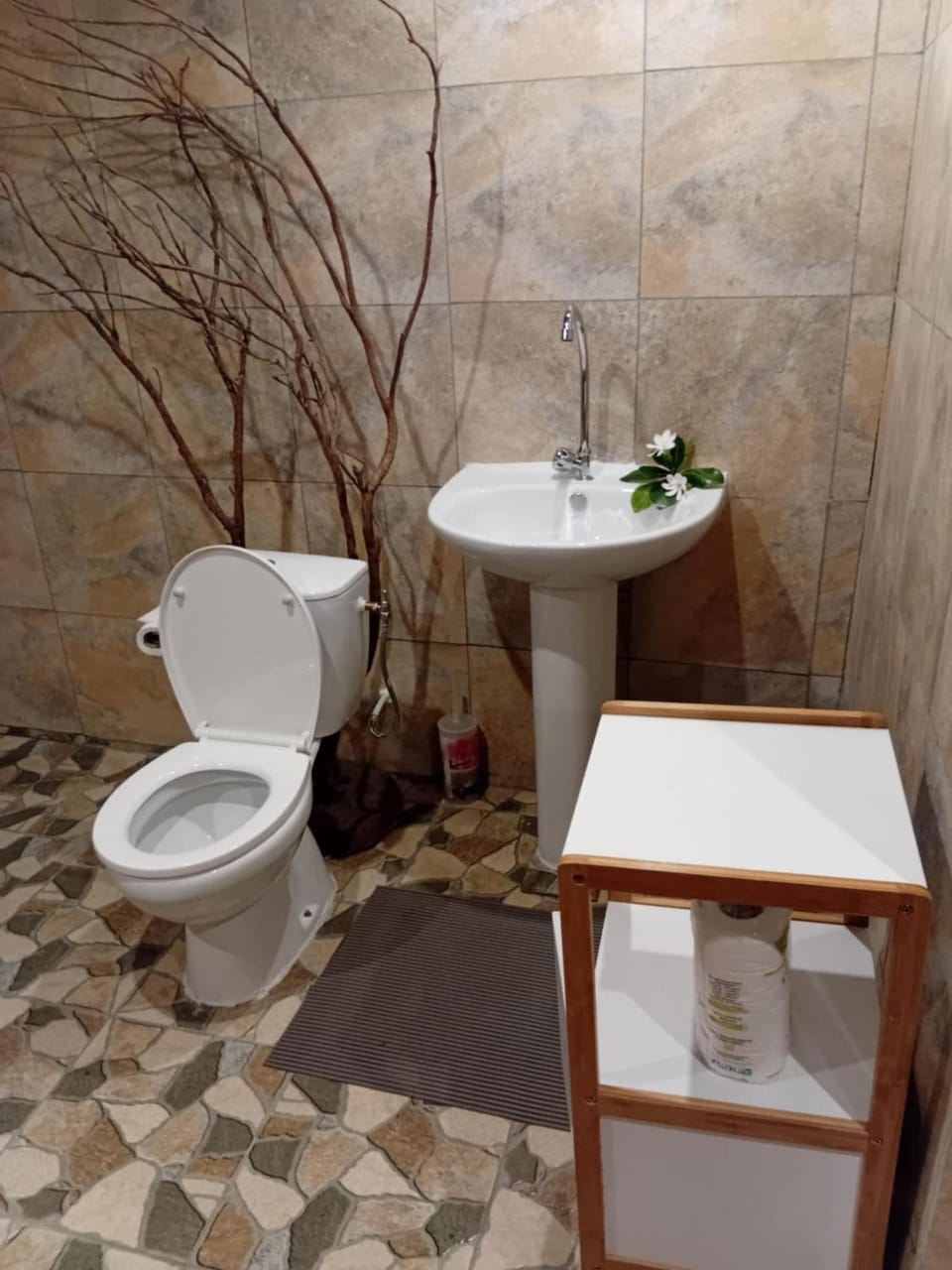 Toilet, Bathroom