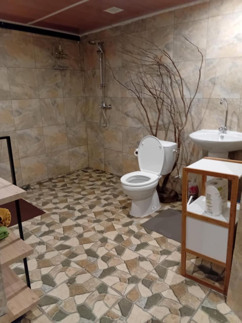 Toilet, Bathroom