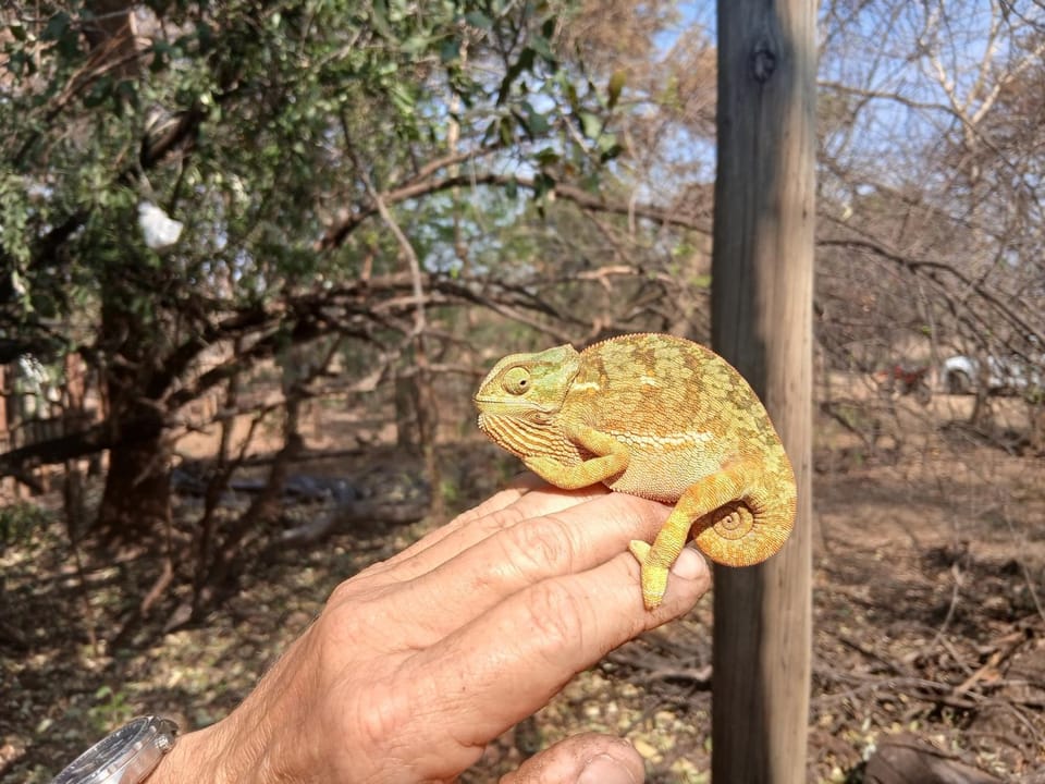 Wildland Safaris Campground/ 
RV Resort in Gauteng