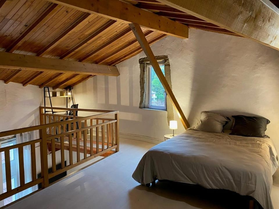 Appartements dans bâtiment historique, au cœur du vieux Voreppe Apartment in Auvergne-Rhône-Alpes