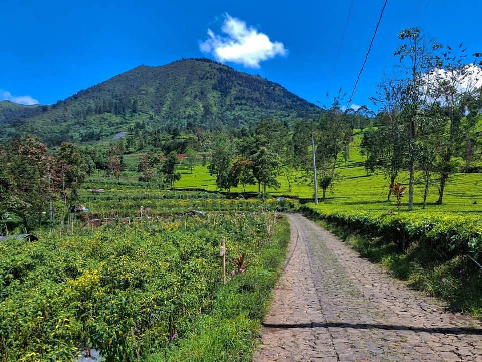 Nearby landmark, Day, Natural landscape, Mountain view
