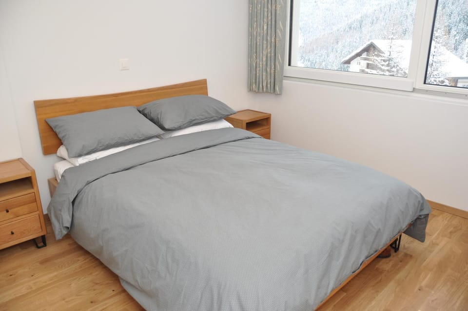 Chateaupré D 01 Apartment in Canton of Valais