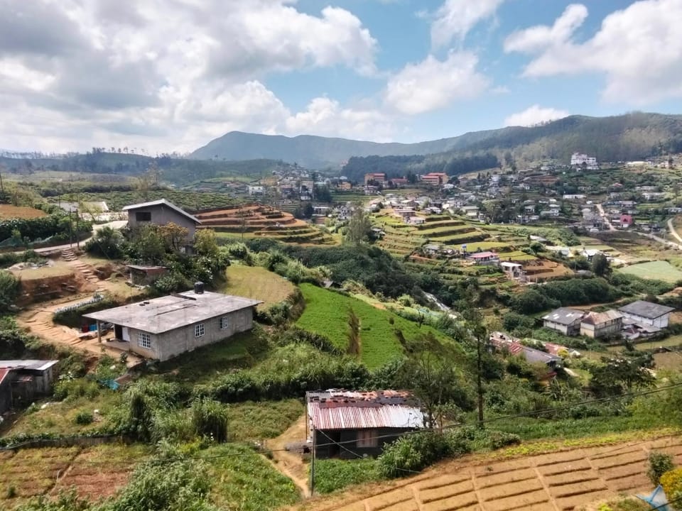 Mountain view