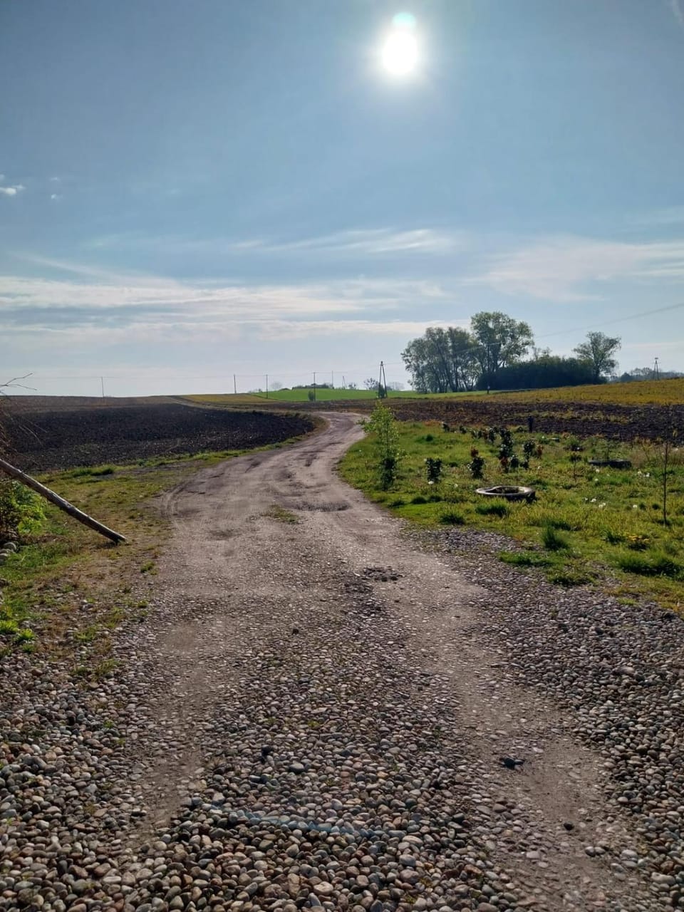 Neighbourhood, Natural landscape