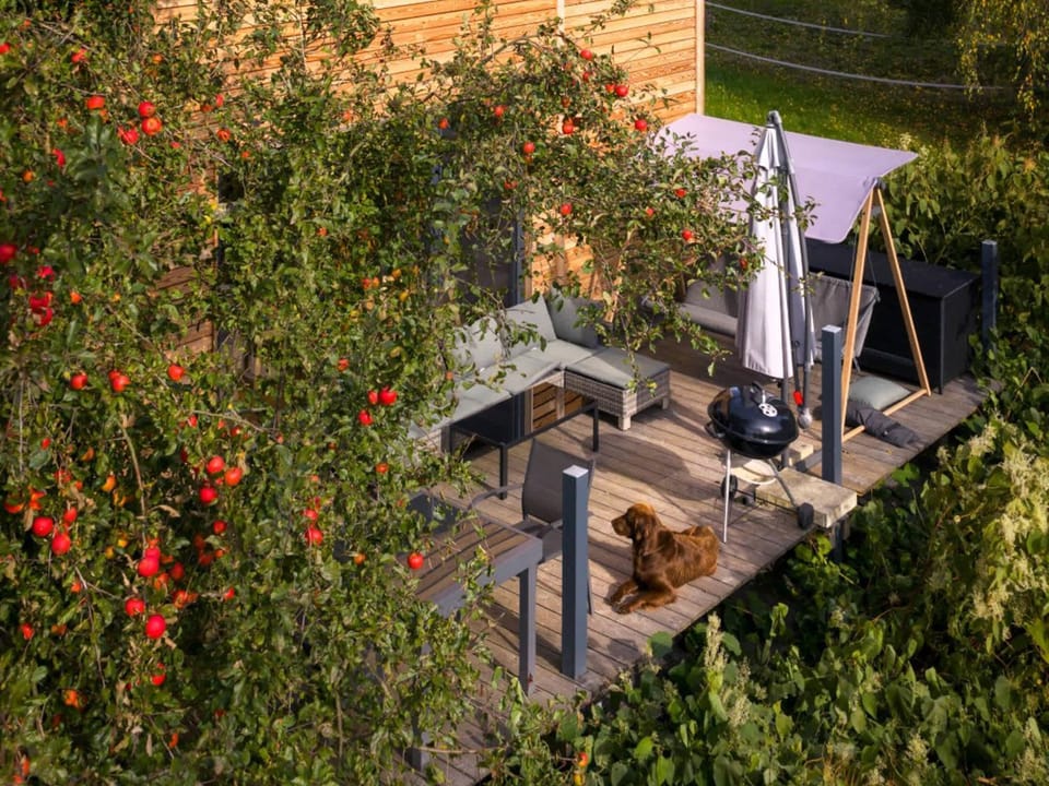 Spring, Day, BBQ facilities, BBQ facilities, Garden, Balcony/Terrace, Balcony/Terrace, Seating area, Garden view, Sunset, pet friendly, pet friendly