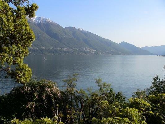 Lake view