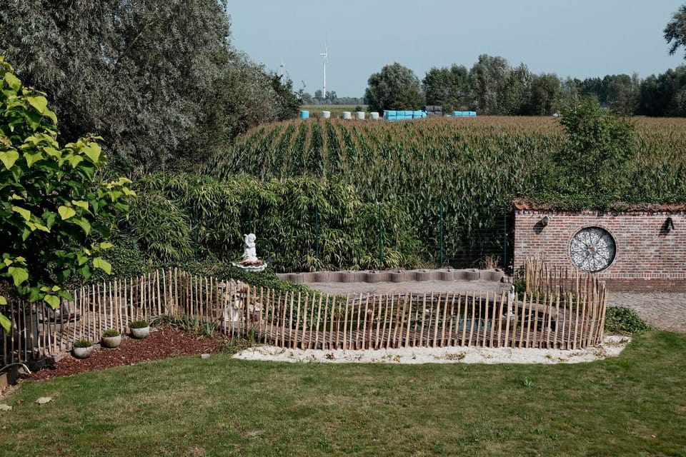 View (from property/room)