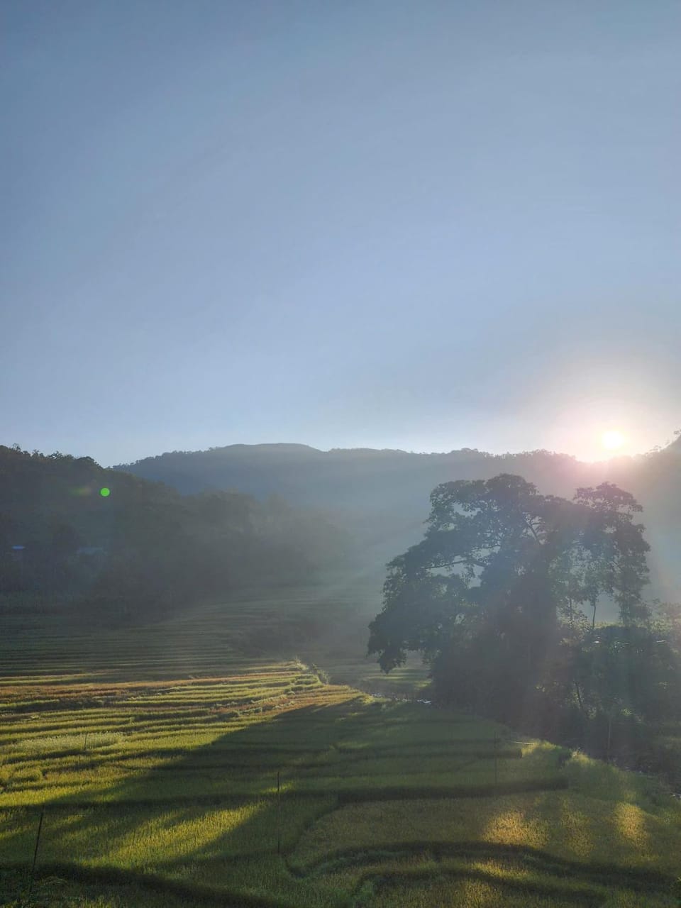 Ruộng Cafe & Homestay Nature lodge in Vietnam