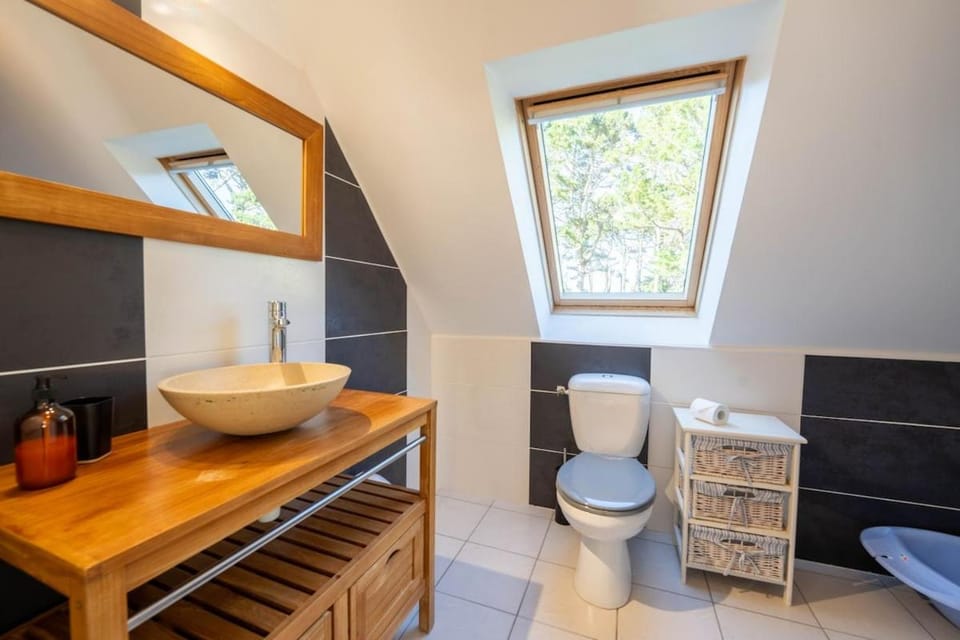 Toilet, Bathroom, Decorative detail, children, Family, furniture, heating