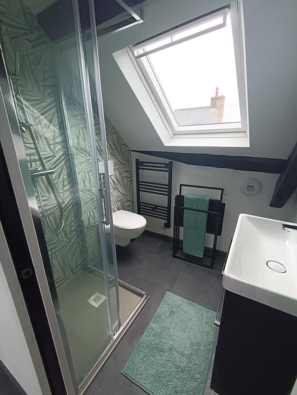 Shower, Toilet