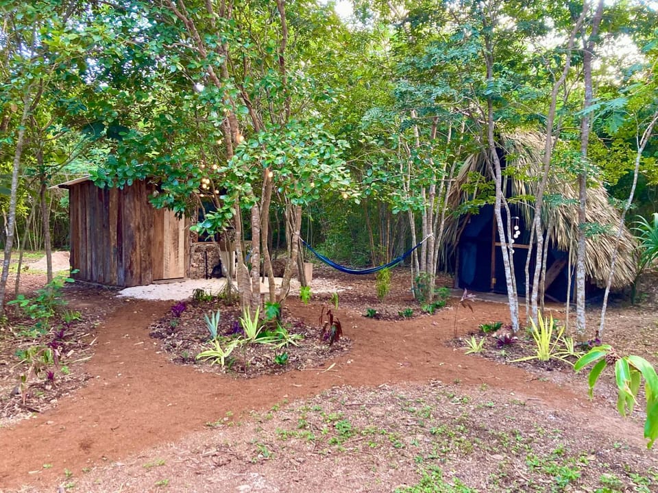 Eco Farmstay near Corozal Belize Quiet Nature Stay Farm Stay in Corozal District