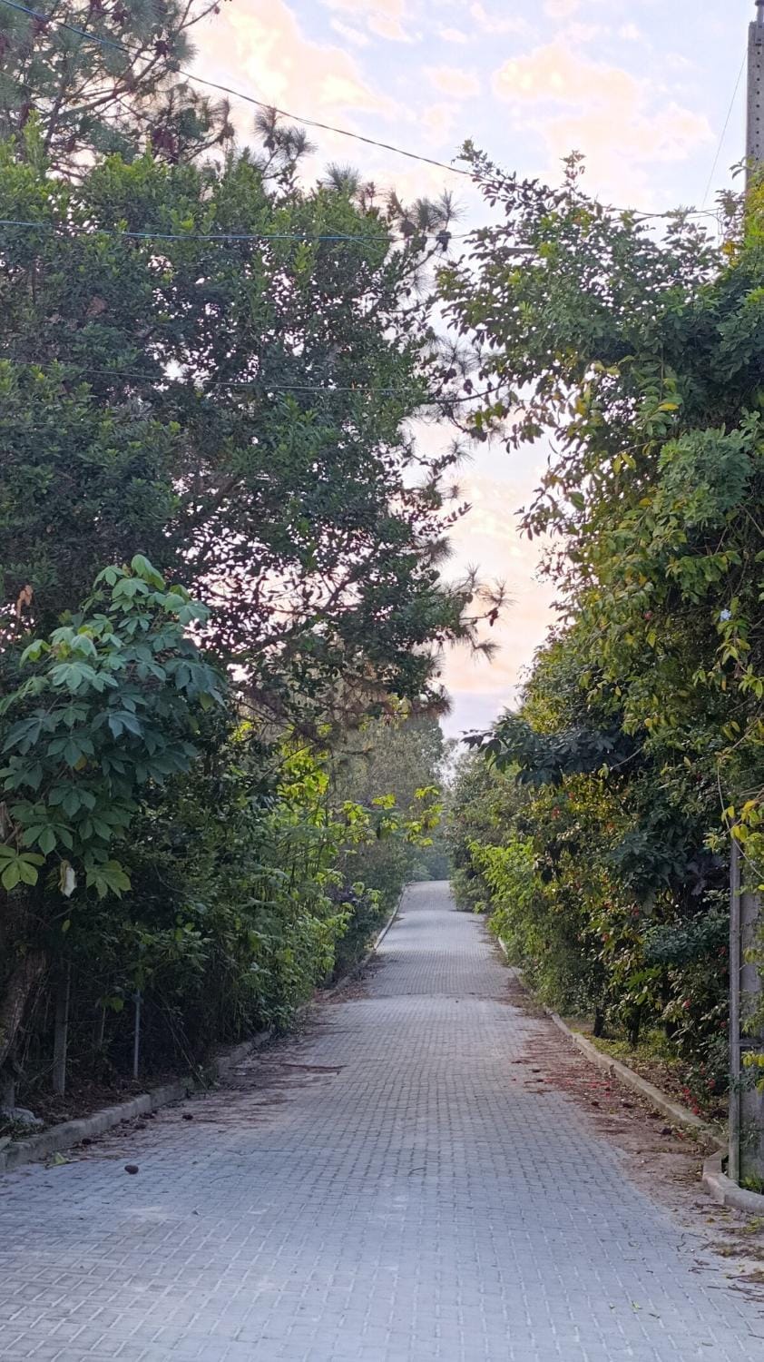 Quiet street view