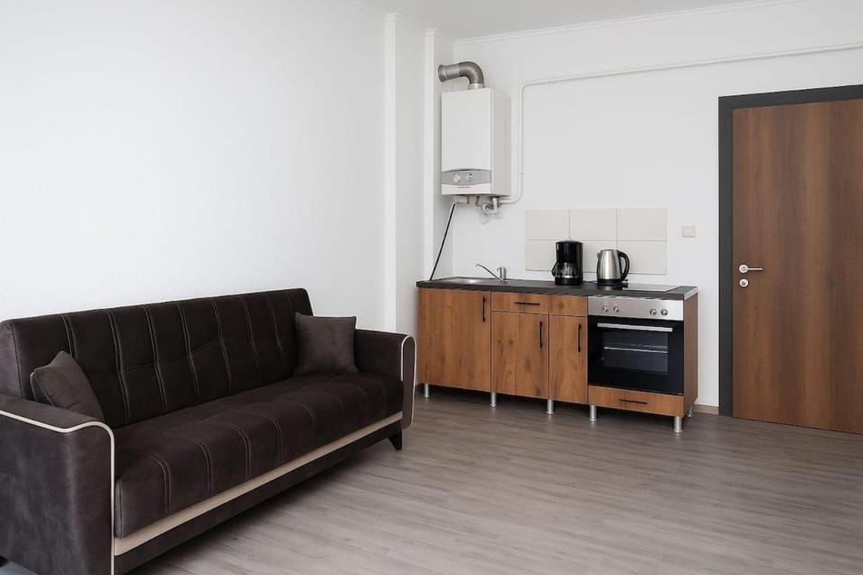 Kitchen or kitchenette, Living room, stove