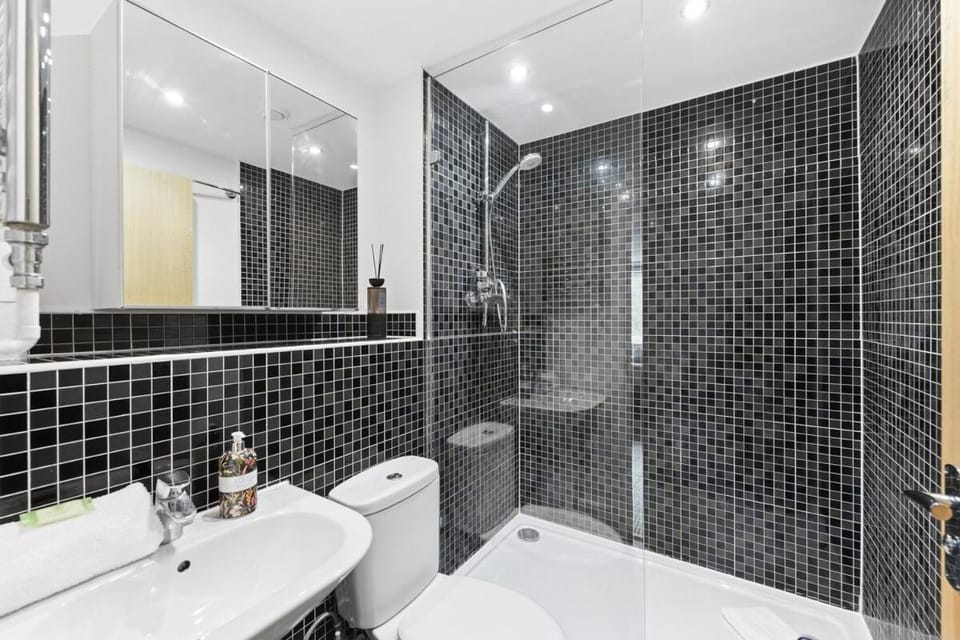 Shower, Toilet, towels