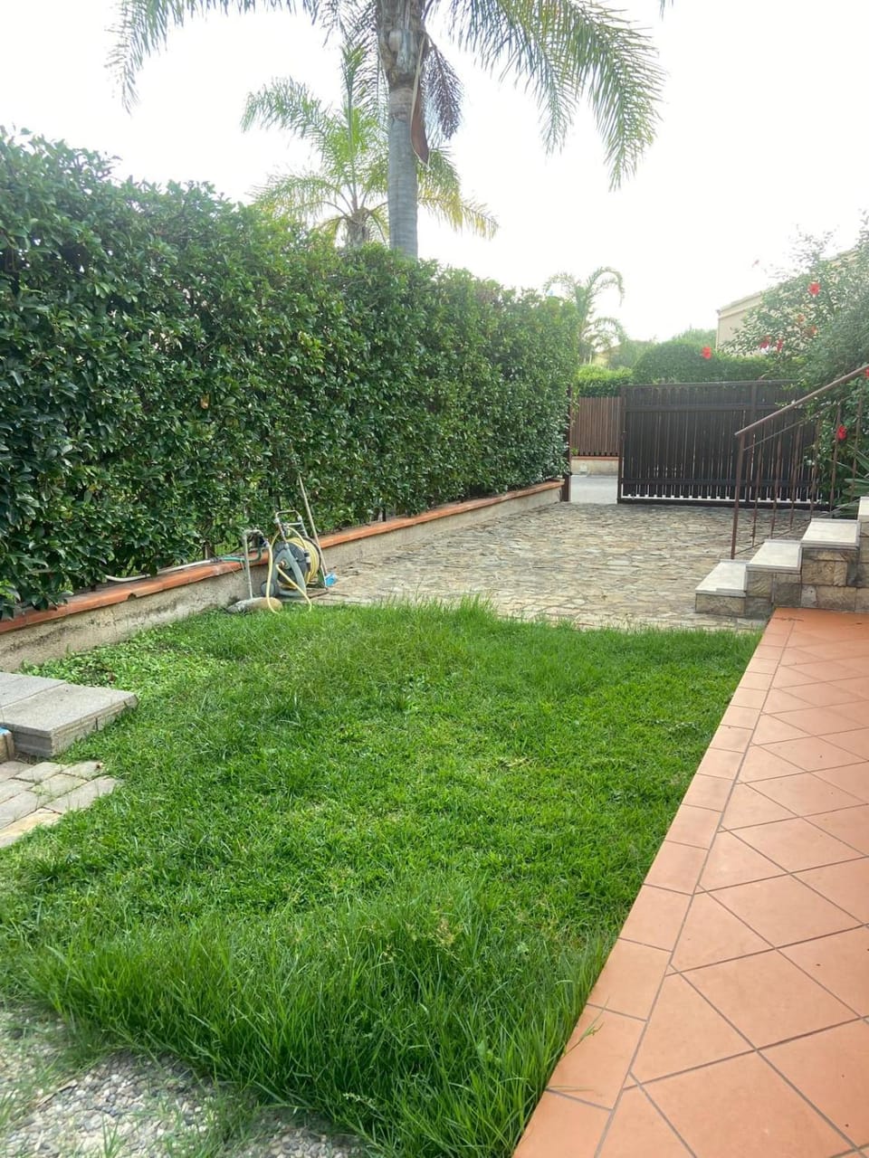 Spring, Day, Natural landscape, Garden, Garden, Garden view