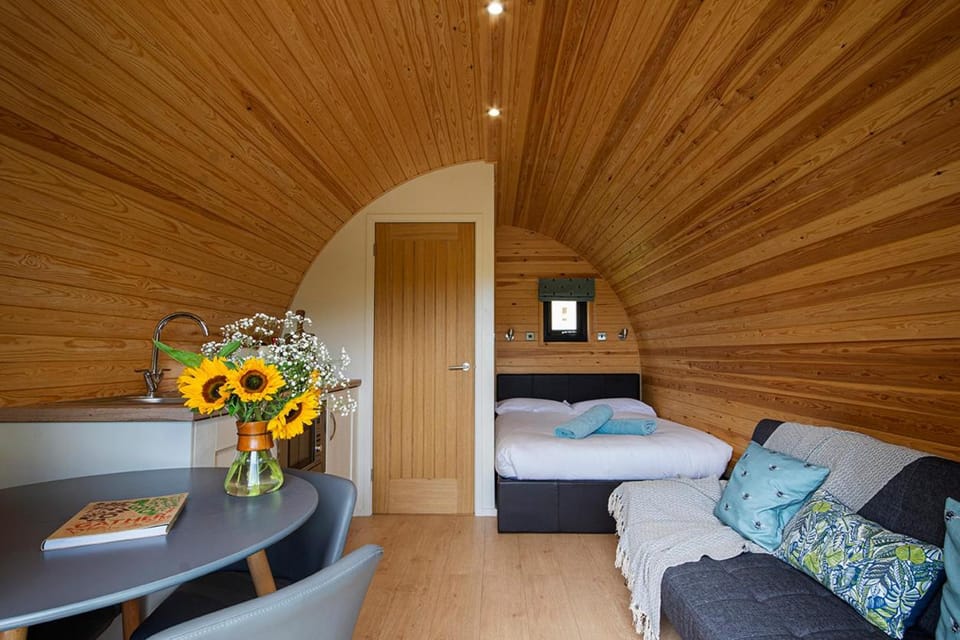 Bed, Living room, Photo of the whole room, Seating area, Bedroom