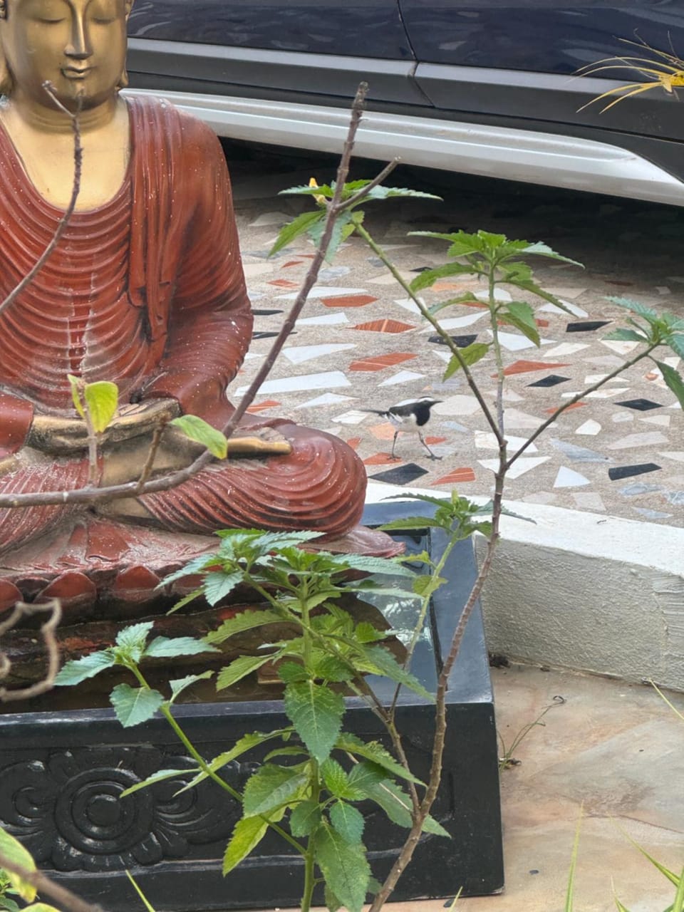 Day, Garden, Decorative detail, Garden view