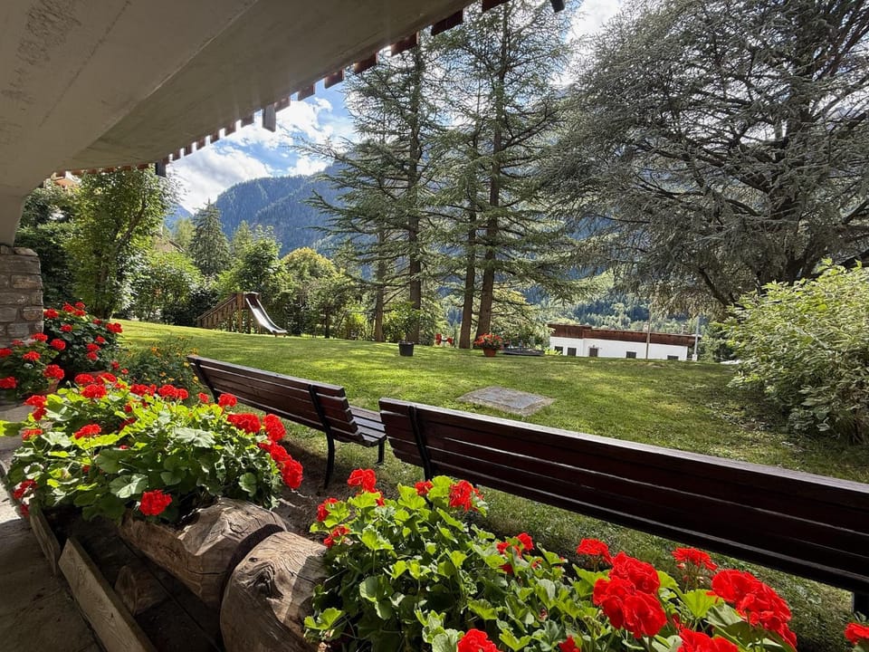 Spring, Garden, Garden view, Mountain view
