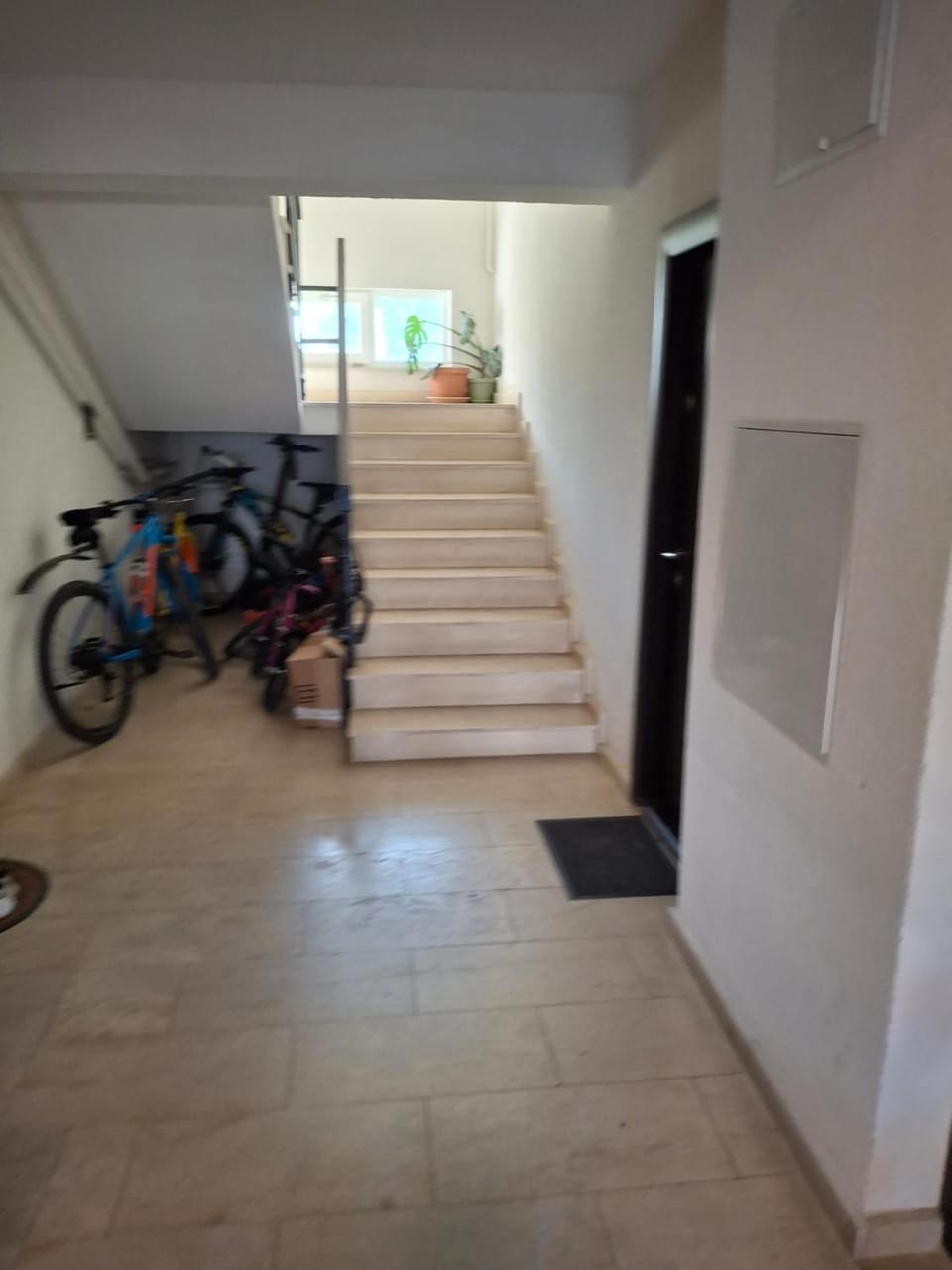 Apartament Parc Romanescu 4 locuri-2 familii Apartment in Craiova