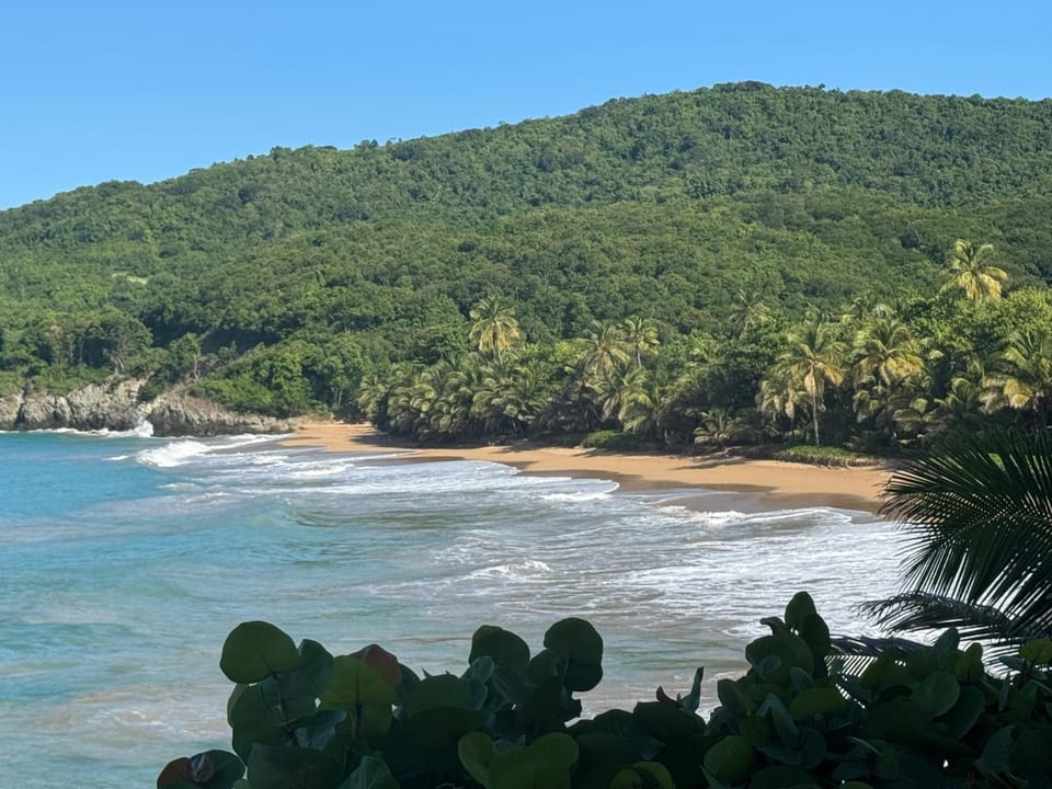 Beach